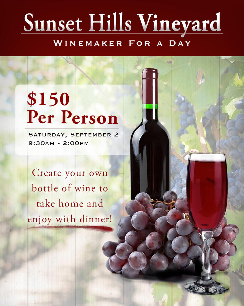 Vineyard - Brandin, Visual Identity, & Concept Development